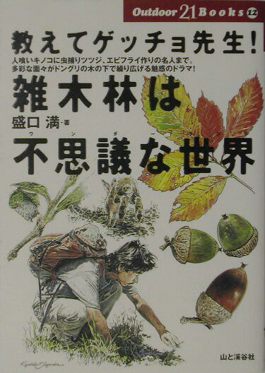 【中古】教えてゲッチョ先生！雑木林は不思議な世界（ワンダ-ランド） /山と渓谷社/盛口満（単行本）