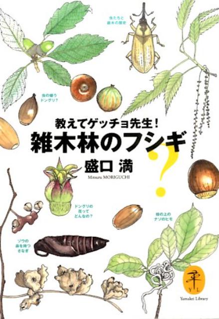 【中古】教えてゲッチョ先生！雑木林のフシギ /山と渓谷社/盛口満（文庫）