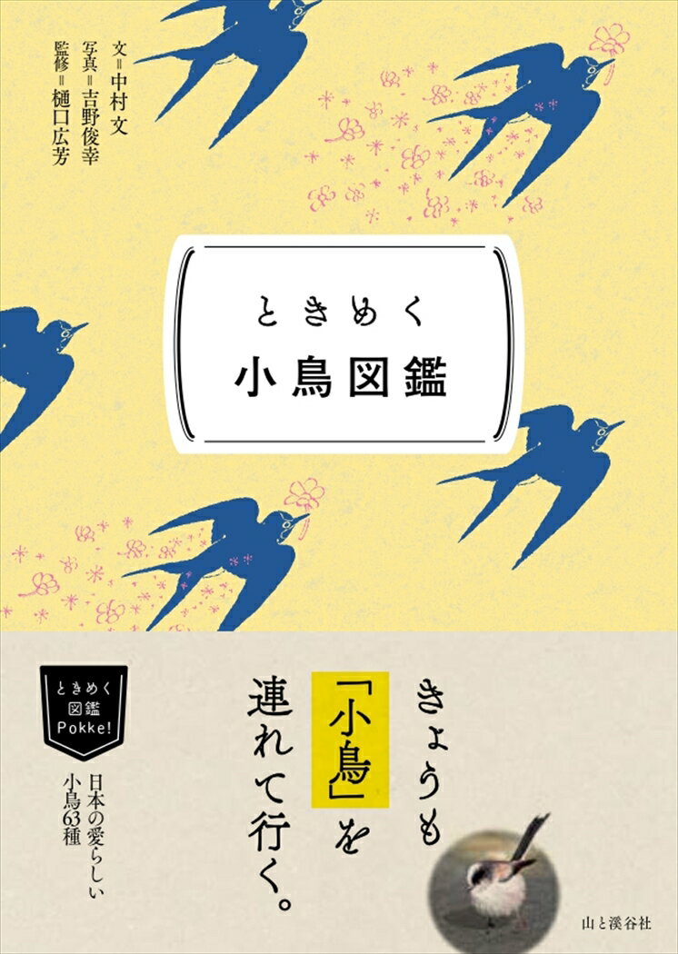 【中古】ときめく小鳥図鑑/山と渓谷社/中村文（文庫）