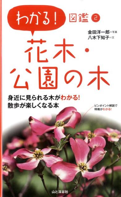 【中古】花木・公園の木/山と渓谷社/金田洋一郎（単行本（ソフトカバー））