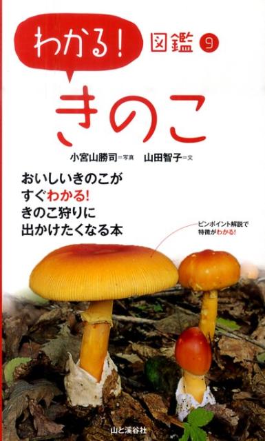 【中古】きのこ /山と渓谷社/小宮山勝司（単行本（ソフトカバー））