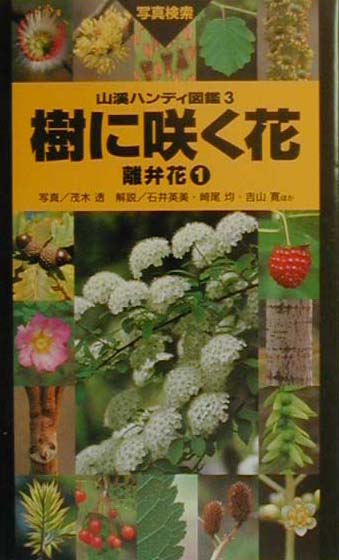 【中古】樹に咲く花 離弁花　1 改訂第3版/山と渓谷社/茂木透（単行本）