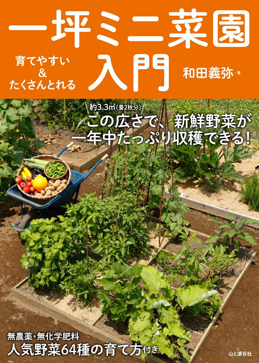 ����š۰�Ƥ䤹������������Ȥ�롡���ڥߥ˺ڱ�����/���ȷ�ë��/���ĵ����ñ���ܡʥ��եȥ��С��ˡ�