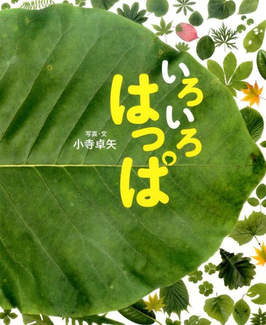 いろいろはっぱ