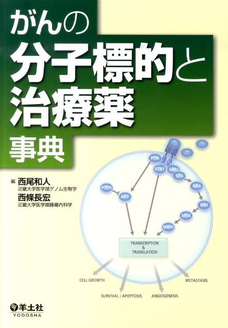 【中古】がんの分子標的と治療薬事典 /羊土社/西尾和人（単行本）