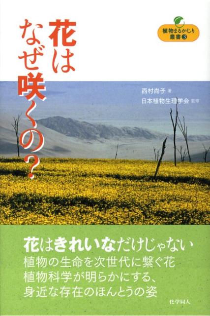 【中古】花はなぜ咲くの？ /化学同人/西村尚子（単行本）