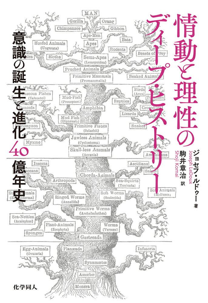 【中古】情動と理性のディープ・ヒストリー 意識の誕生と進化40億年史/化学同人/ジョセフ・ルドゥー（単行本）
