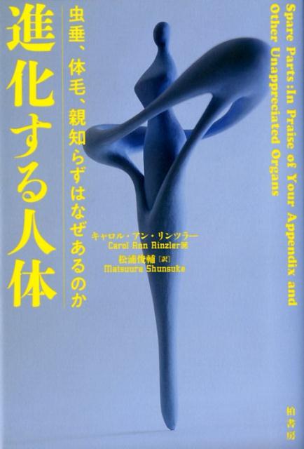【中古】進化する人体 虫垂、体毛、親知らずはなぜあるのか /柏書房/キャロル・アン・リンツラー（単行本）