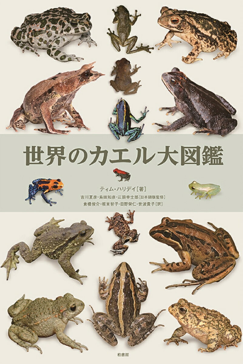 【中古】世界のカエル大図鑑/柏書房/ティム・ハリデイ（単行本）