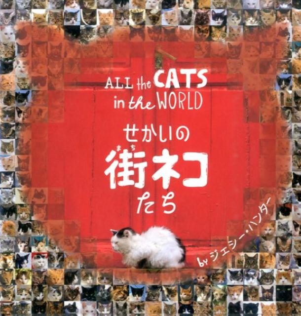 【中古】せかいの街ネコたち/グラフィック社/ジェシ- ハンタ-（単行本）