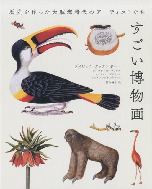 【中古】すごい博物画 歴史を作った大航海時代のアーティストたち/グラフィック社/デイビッド・アッテンボロー（単行本（ソフトカバー））