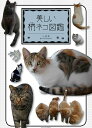 【中古】美しい柄ネコ図鑑 /エクスナレッジ/小林希(単行本(ソフトカバー))