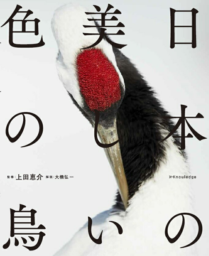 【中古】日本の美しい色の鳥 /エクスナレッジ/大橋弘一（単行本（ソフトカバー））