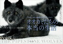【中古】30年にわたる観察で明らかにされたオオカミたちの本当の生活 パイプストーン一家の興亡 /エクスナレッジ/ギュンター・ブロッホ(単行本(ソフトカバー))
