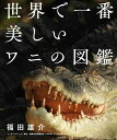【中古】世界で一番美しいワニの図鑑/エクスナレッジ/福田雄介(単行本(ソフトカバー))