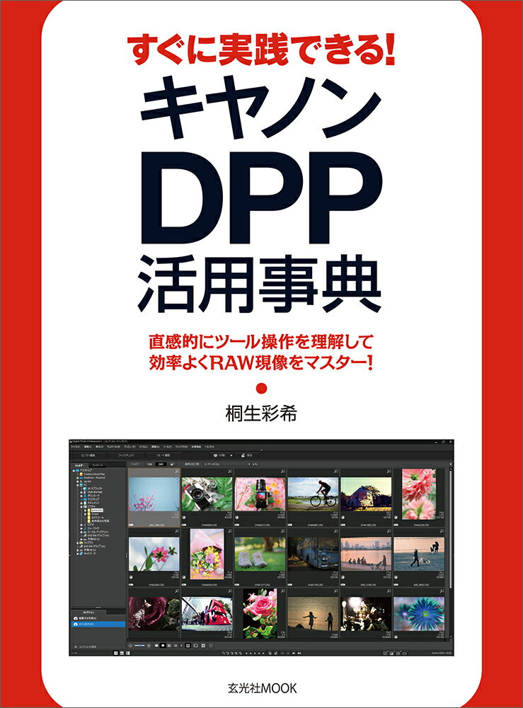 ����šۤ����˼����Ǥ��롪����Υ�DPP���ѻ�ŵ/������/�����̴��ʥ�å���
