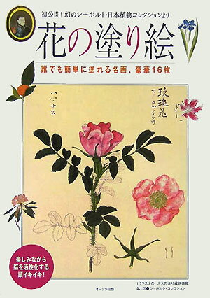 ◆◆◆非常にきれいな状態です。中古商品のため使用感等ある場合がございますが、品質には十分注意して発送いたします。 【毎日発送】 商品状態 著者名 出版社名 オ−クラ出版 発売日 2005年11月 ISBN 9784775506516