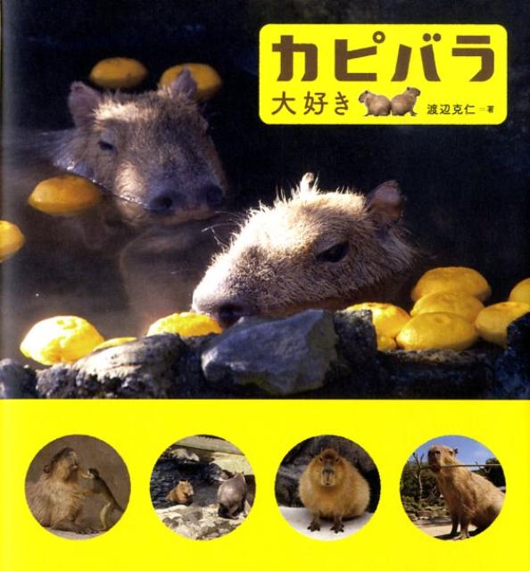 【中古】カピバラ大好き /ゴマブックス/渡辺克仁（単行本（ソフトカバー））