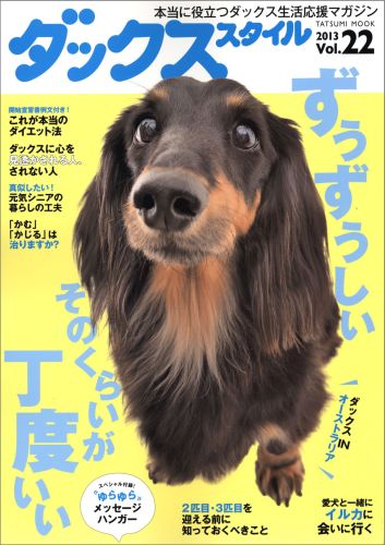 Dog - 【中古】ダックススタイル vol．22 /辰巳出版（ムック）