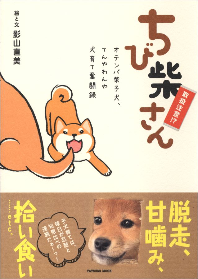 【中古】ちび柴さん オテンバ柴子犬、てんやわんや犬育て奮闘録 /辰巳出版/影山直美（ムック）