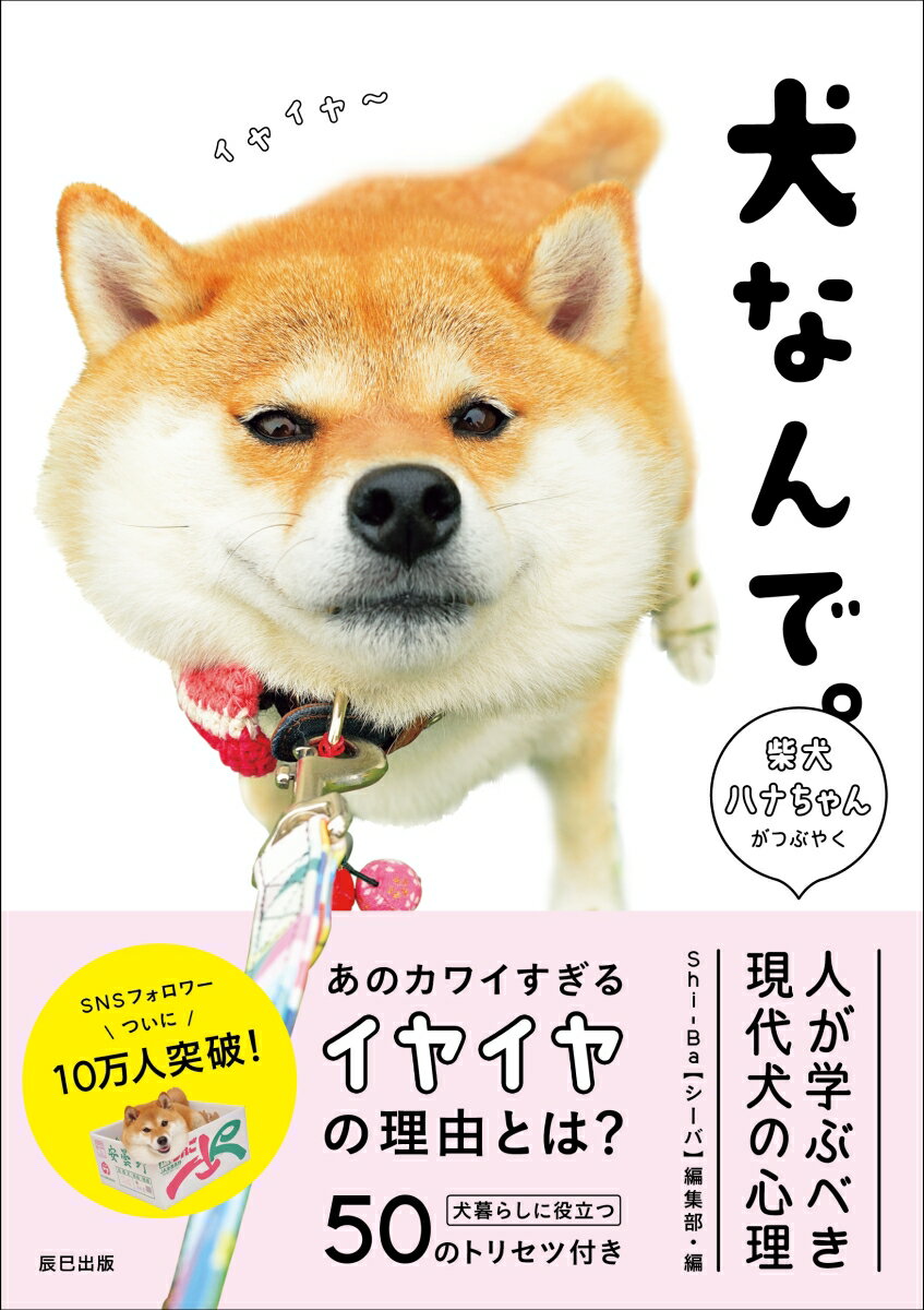 【中古】犬なんで。 柴又ハナちゃんがつぶやく人が学ぶべき現代犬の心理 /辰巳出版/Shi-ba編集部(単行本(ソフトカバー))