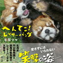 【中古】へんてこ!レッサーパンダ /辰巳出版/石簾マサ(単行本(ソフトカバー))