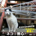 【中古】必死すぎるネコ〜前後不覚篇〜 /辰巳出版/沖昌之(ムック)
