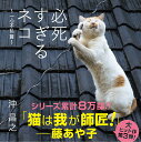【中古】必死すぎるネコ〜一心不乱篇〜/辰巳出版/沖昌之(単行本(ソフトカバー))