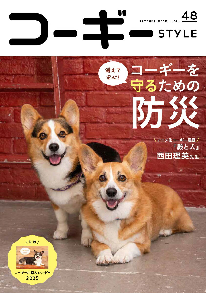 【中古】コーギースタイル vol．48/辰巳出版（ムック）