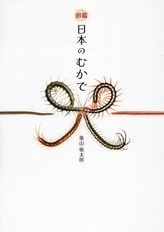 【中古】図鑑日本のむかで/太田出版/奥山風太郎（単行本（ソフトカバー））
