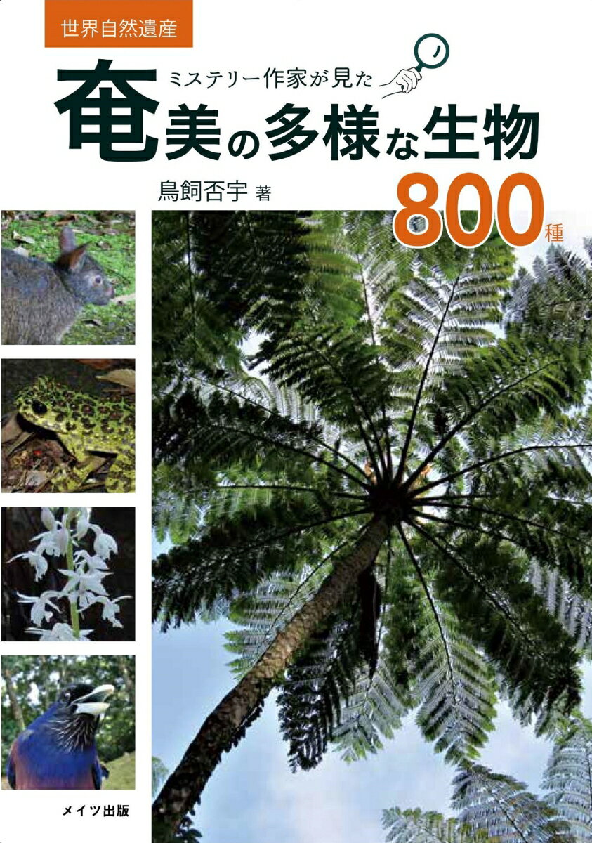 ◆◆◆非常にきれいな状態です。中古商品のため使用感等ある場合がございますが、品質には十分注意して発送いたします。 【毎日発送】 商品状態 著者名 鳥飼否宇 出版社名 メイツユニバ−サルコンテンツ 発売日 2022年12月15日 ISBN 9784780427097