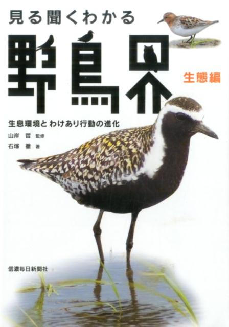 【中古】見る聞くわかる野鳥界 生態編 /信濃毎日新聞社/石塚徹（単行本（ソフトカバー））