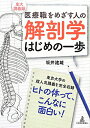 【中古】解剖学はじめの一歩 医療職をめざす人の /日本医事新報社/坂井建雄(単行本)