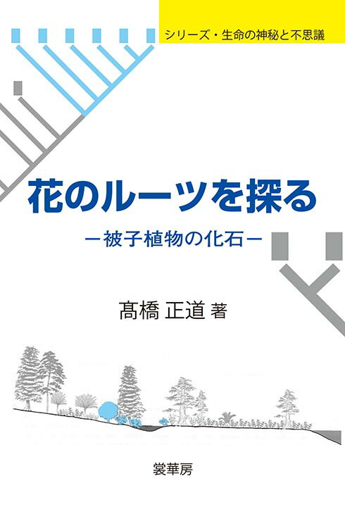 【中古】花のルーツを探る 被子植物の化石/裳華房/〓橋正道（化石研究）（単行本）
