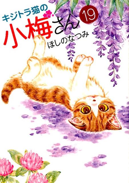 【中古】キジトラ猫の小梅さん 19 /少年画報社/ほしのなつみ（コミック）