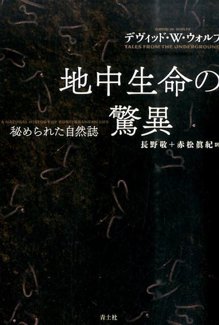 【中古】地中生命の驚異 秘められた自然誌 新装版/青土社/デヴィッド W．ウォルフ（単行本）
