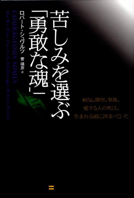 ◆◆◆おおむね良好な状態です。中古商品のため使用感等ある場合がございますが、品質には十分注意して発送いたします。 【毎日発送】 商品状態 著者名 ロバ−ト・シュワルツ、菅靖彦 出版社名 SBクリエイティブ 発売日 2009年09月 ISBN 9784797352405