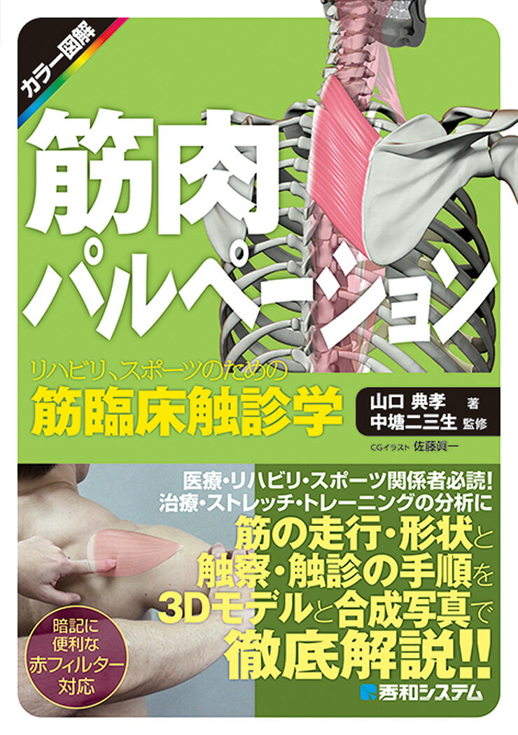 【中古】筋肉パルペーション リハビリ、スポーツのための筋臨床触診学 /秀和システム/山口典孝（単行本）
