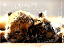 【中古】もふもふ日誌 仔トラと仔ライオン、ときどきウサギ /リブレ/九州自然動物公園アフリカンサファリ(単行本)