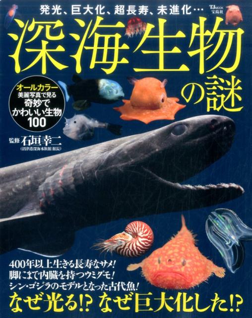 【中古】深海生物の謎 発光、巨大化、超長寿、未進化・・・ /宝島社/石垣幸二（大型本）