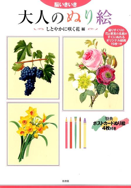 ◆◆◆おおむね良好な状態です。中古商品のため使用感等ある場合がございますが、品質には十分注意して発送いたします。 【毎日発送】 商品状態 著者名 ネコノテンシスタジオ 出版社名 竹書房 発売日 2016年04月 ISBN 9784801906761