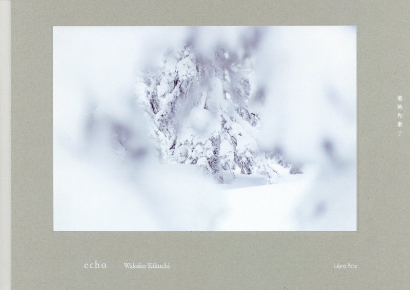 【中古】echo/リブロアルテ/菊地和歌子（ハードカバー）