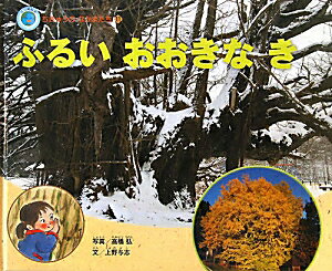 【中古】ふるいおおきなき /チャイルド本社/高橋弘（巨樹写真家）（大型本）