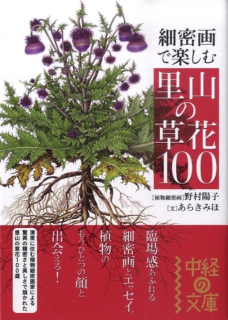 楽天市場】野村陽子の通販