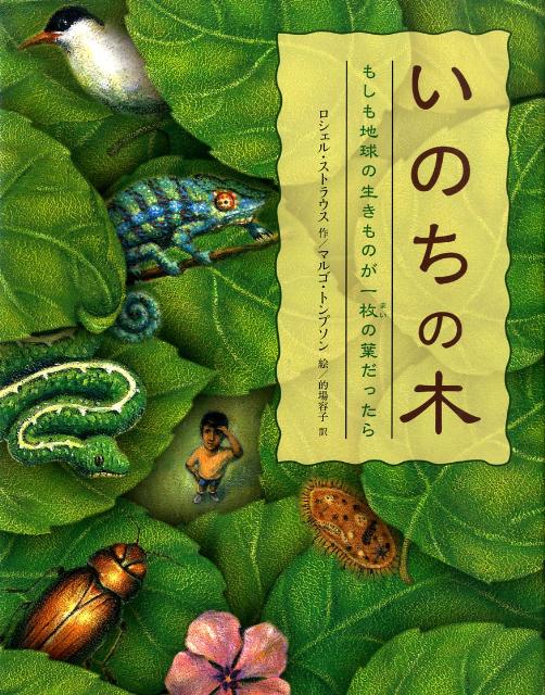 ����šۤ��Τ����� �⤷���ϵ��������Τ�������դ��ä��� /��ʸ��/�������롦���ȥ饦�����緿�ܡ�