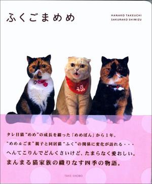 ◆◆◆おおむね良好な状態です。中古商品のため使用感等ある場合がございますが、品質には十分注意して発送いたします。 【毎日発送】 商品状態 著者名 竹内華子、清水桜子 出版社名 竹書房 発売日 2008年12月 ISBN 9784812436912