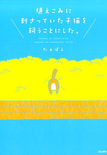 【中古】植えこみに刺さっていた子猫を飼うことにした。 /ぶんか社/たぁぽん（単行本）