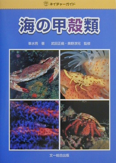 【中古】海の甲殻類 /文一総合出版/峯水亮（単行本）