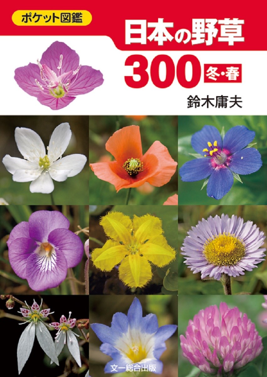 ����š����ܤ�����300 �ݥ��åȿ޴� �ߡ��� /ʸ���������/�������ס�ʸ�ˡ�