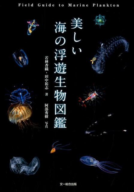 【中古】美しい海の浮遊生物図鑑 /文一総合出版/若林香織（単行本）
